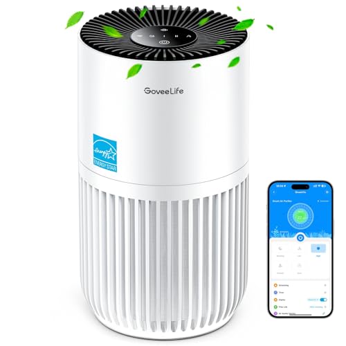 GoveeLife Mini Air Purifier with Smart App Control