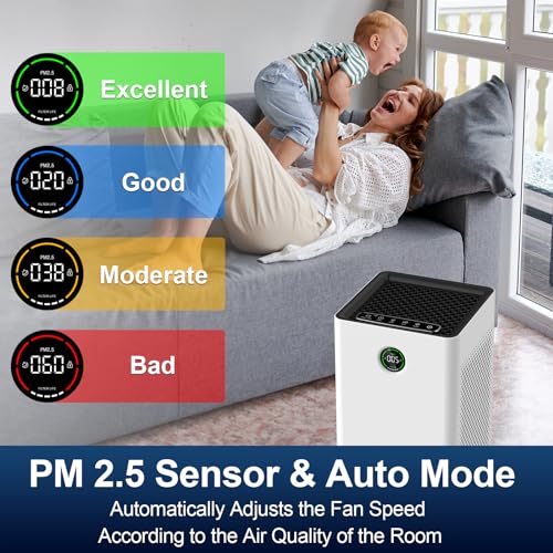Jafända Large Room Air Purifier True HEPA 13