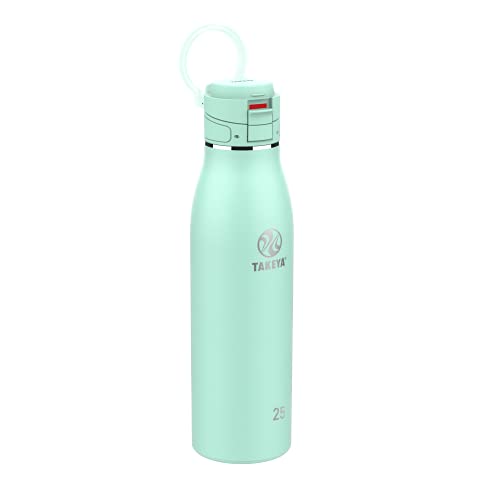 Takeya 25 oz Stainless Steel Insulated Coffee Mug