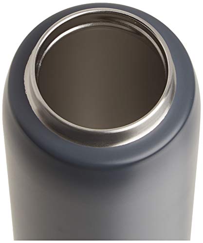 Brita Stainless Steel Premium Filtering Water Bottle 20oz