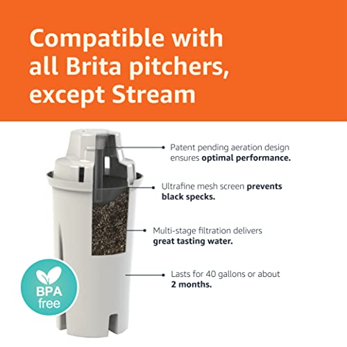10-Cup Water Pitcher with Filter, Compatible with Brita