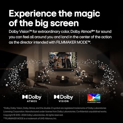 65-Inch LG OLED evo Smart TV 4K Alexa