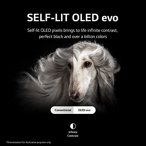 LG 55" OLED evo C2 4K Smart TV