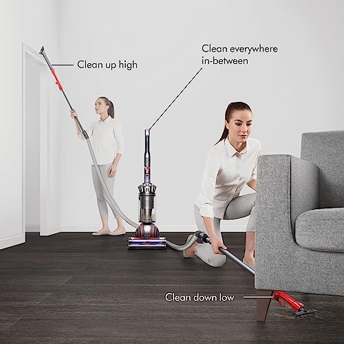 Dyson Animal 3 Upright Vacuum Cleaner