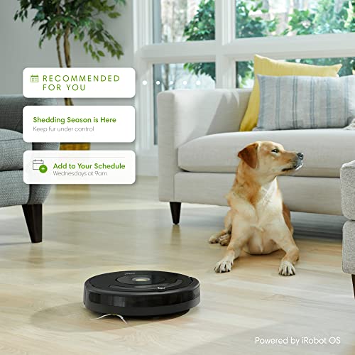 iRobot Roomba 671020 Robot Vacuum with Wi-Fi & Alexa
