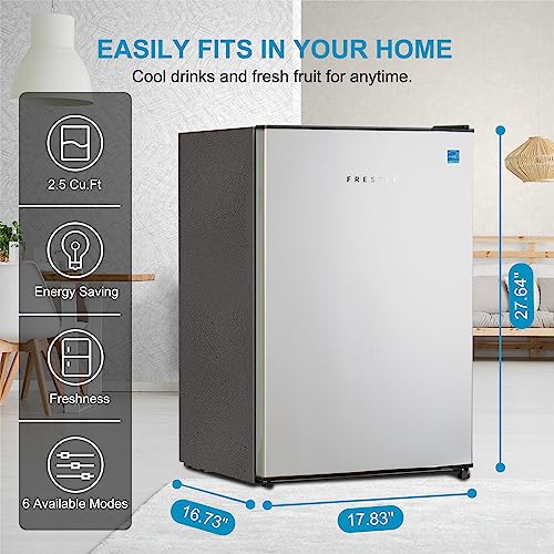 Frestec Mini Refrigerator with Freezer, Stainless Steel