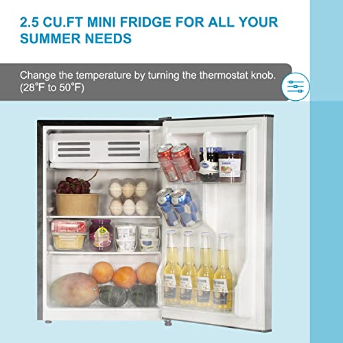 Frestec Mini Refrigerator with Freezer, Stainless Steel