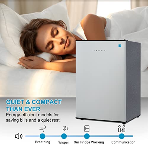 Frestec Mini Refrigerator with Freezer, Stainless Steel