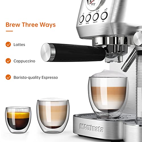 Stainless Steel 20 Bar Espresso Machine with Milk Frother
