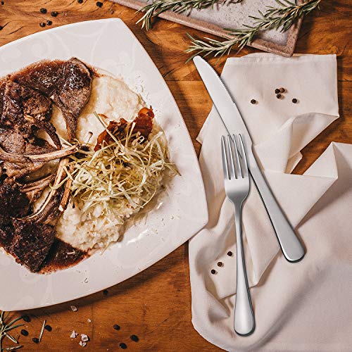 Set of 12 Hiware Stainless Steel Dinner Forks