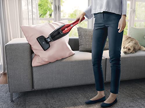 Electrolux Ergorapido Stick Vacuum with LED Lights, Chili Red
