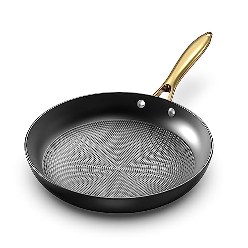 12 Inch Cast Iron Nonstick Skillet - Professional
