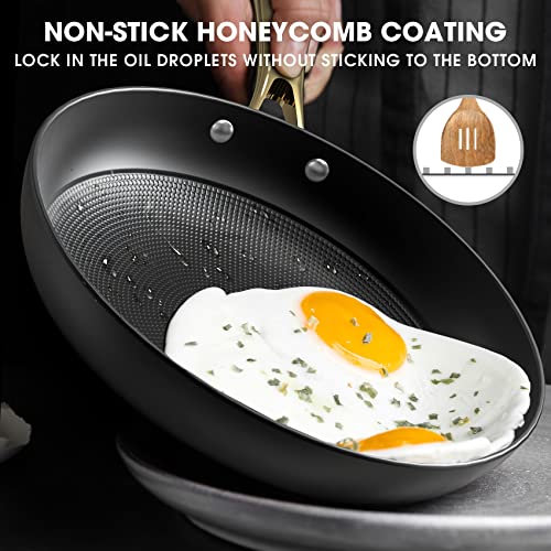12 Inch Cast Iron Nonstick Skillet - Professional