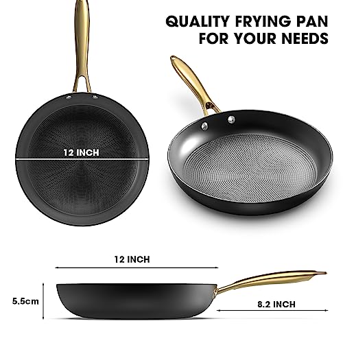12 Inch Cast Iron Nonstick Skillet - Professional