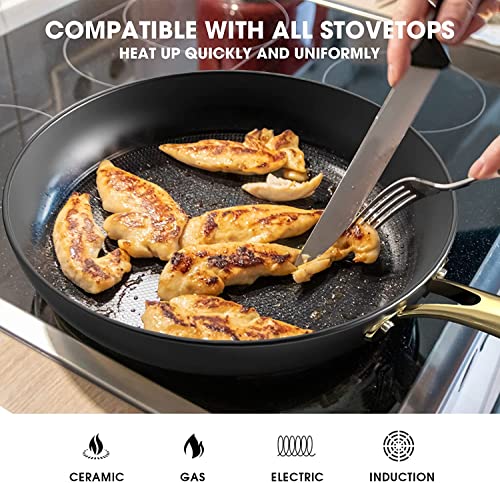 12 Inch Cast Iron Nonstick Skillet - Professional