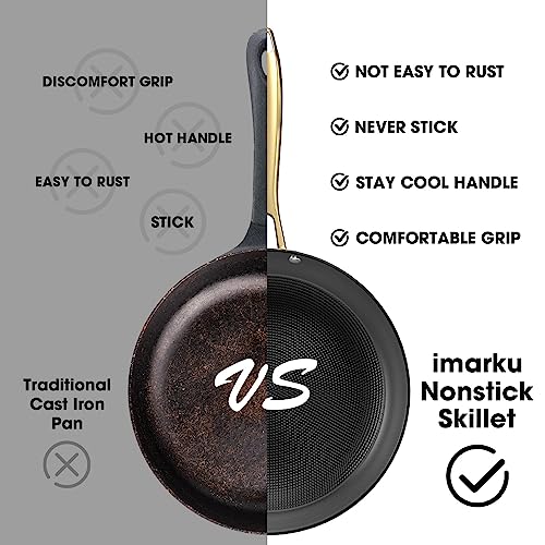 12 Inch Cast Iron Nonstick Skillet - Professional