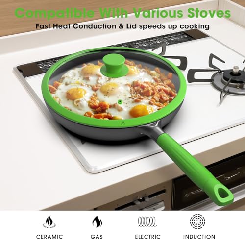 12" Non Stick Cast Iron Skillet with Lid