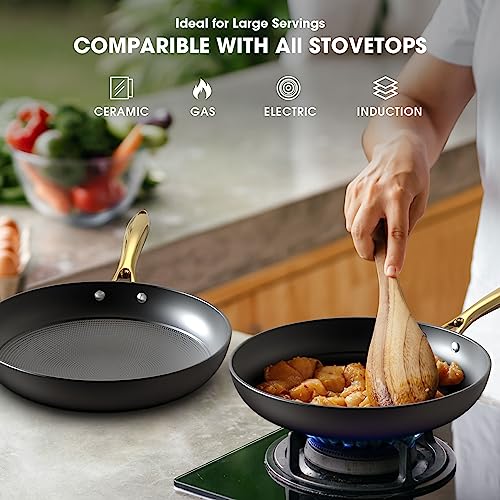 imarku Non Stick Cast Iron Skillet Set