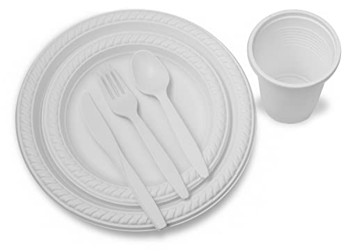 Eco-Friendly Disposable Cutlery Set | 500 Pieces