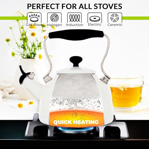 Chantal 1.8 QT Oolong Series Kettle-Light Blue