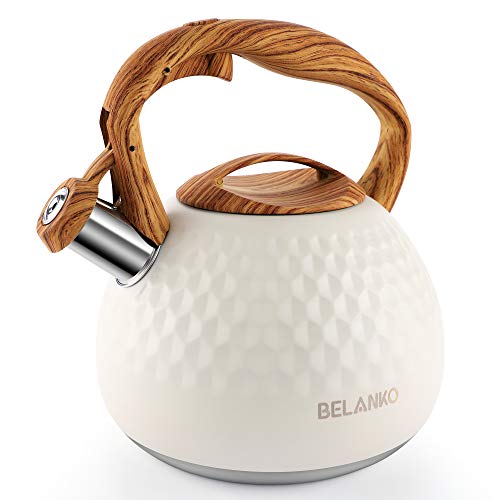 BELANKO 2.7 Quart Stainless Steel Tea Kettle