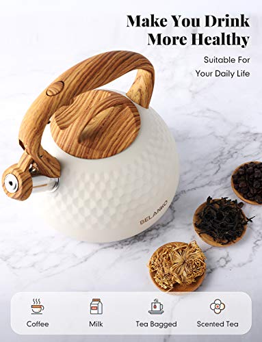 BELANKO 2.7 Quart Stainless Steel Tea Kettle