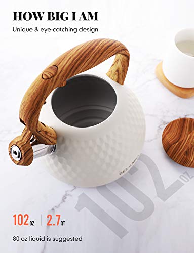 BELANKO 2.7 Quart Stainless Steel Tea Kettle