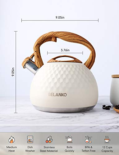BELANKO 2.7 Quart Stainless Steel Tea Kettle