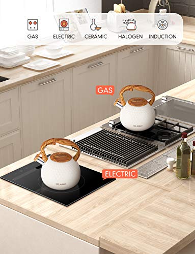 BELANKO 2.7 Quart Stainless Steel Tea Kettle