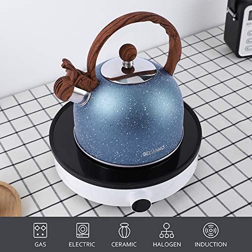 BELANKO 2.5L Stainless Steel Tea Kettle - Wood Handle