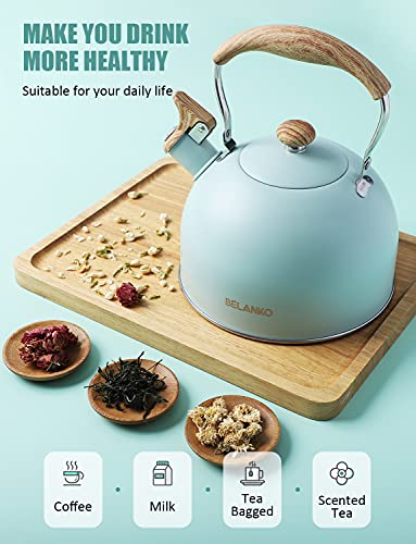Belanko 2.5 Liter Whistling Tea Kettle - Turquoise