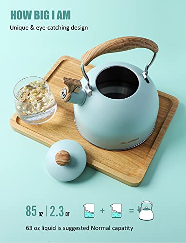 Belanko 2.5 Liter Whistling Tea Kettle - Turquoise