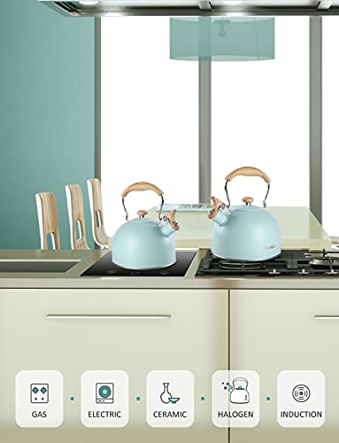 Belanko 2.5 Liter Whistling Tea Kettle - Turquoise