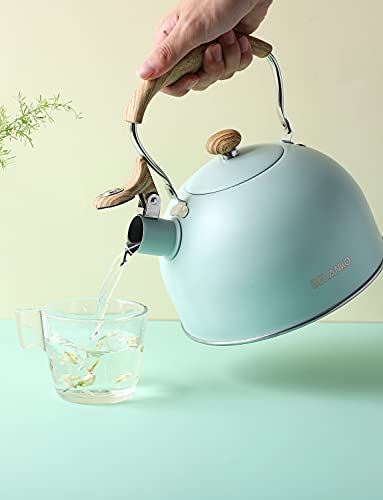 Belanko 2.5 Liter Whistling Tea Kettle - Turquoise