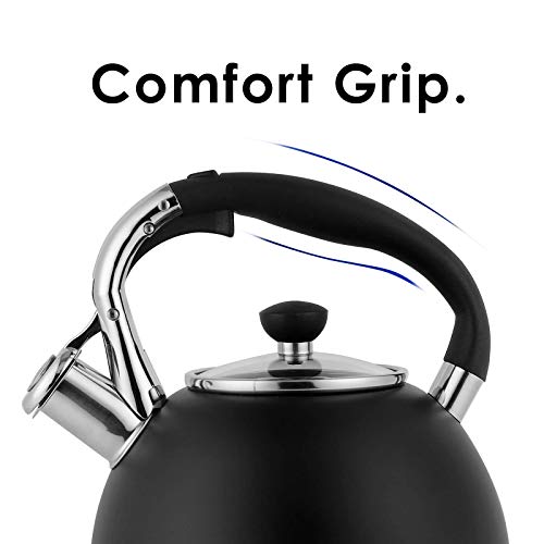 Matt Black Stainless Steel Whistling Tea Kettle: 3.5 Quart