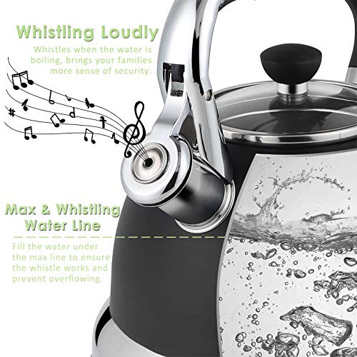 Matt Black Stainless Steel Whistling Tea Kettle: 3.5 Quart