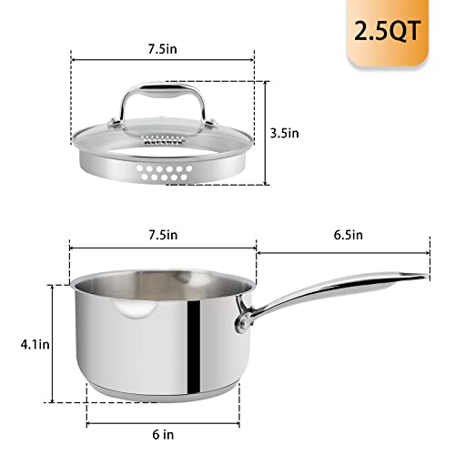 Rorence Stainless Steel Saucepan: Pour Spouts, Glass Lid