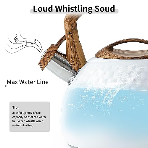 3 Quart Whistling Tea Kettle - Stainless Steel