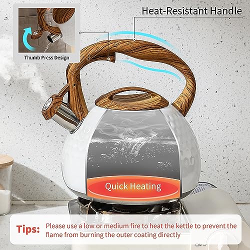 3 Quart Whistling Tea Kettle - Stainless Steel
