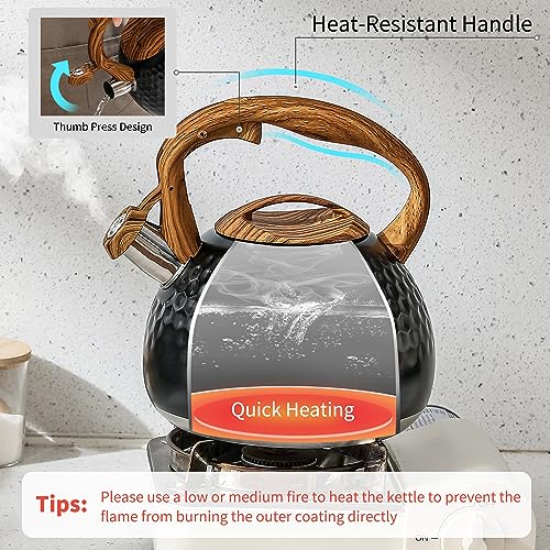 3 Quart Tea Kettle with Salt and Pepper Set Black
