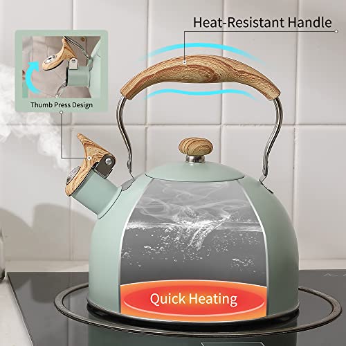 Tea Kettle with Salt and Pepper Shakers Kit
