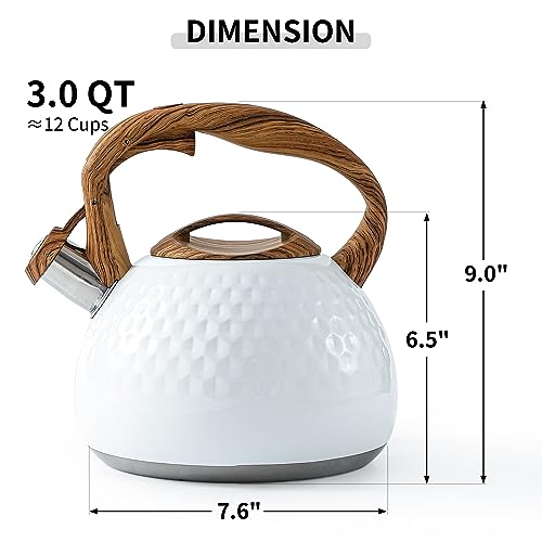 3 Quart Whistling Tea Kettle - Stainless Steel