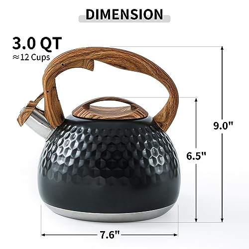 3 Quart Tea Kettle with Salt and Pepper Set Black