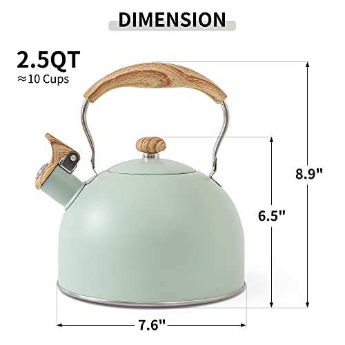 Tea Kettle with Salt and Pepper Shakers Kit