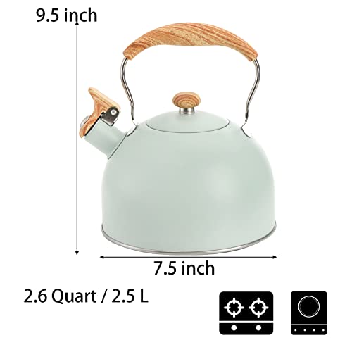 TOPZEA 2.6 Quart Stainless Steel Tea Kettle
