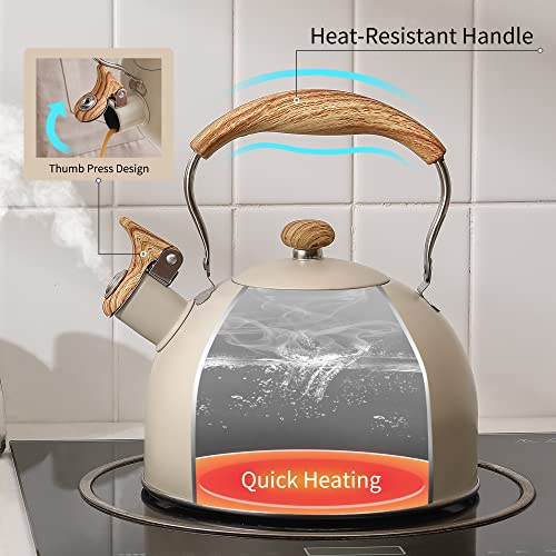 Tea Kettle with Salt & Pepper Shakers Set