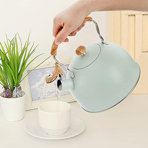 TOPZEA 2.6 Quart Stainless Steel Tea Kettle