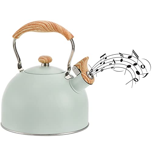 TOPZEA 2.6 Quart Stainless Steel Tea Kettle