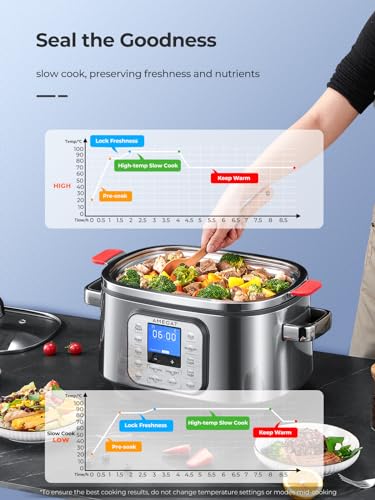 AMEGAT 10-in-1 Slow Cooker 6 Quart Stainless Steel