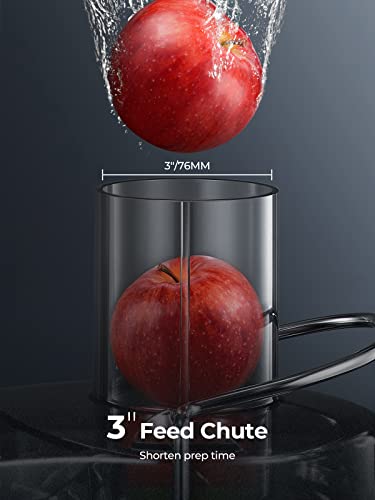 AMEGAT 1300W Centrifugal Juicer for Whole Fruits/Vegetables, 2-Speed